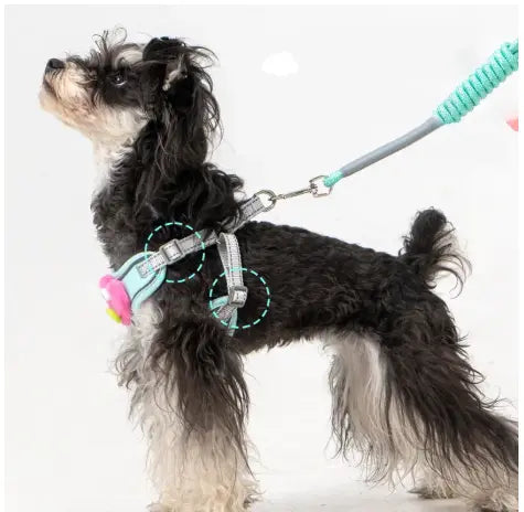 Pull Dog Harness Set for Easy Control: How to Choose the Best Fit