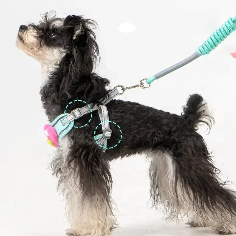 No-Pull Dog Harness Set - Sher's Boutique