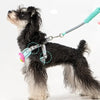 No-Pull Dog Harness Set - Sher's Boutique