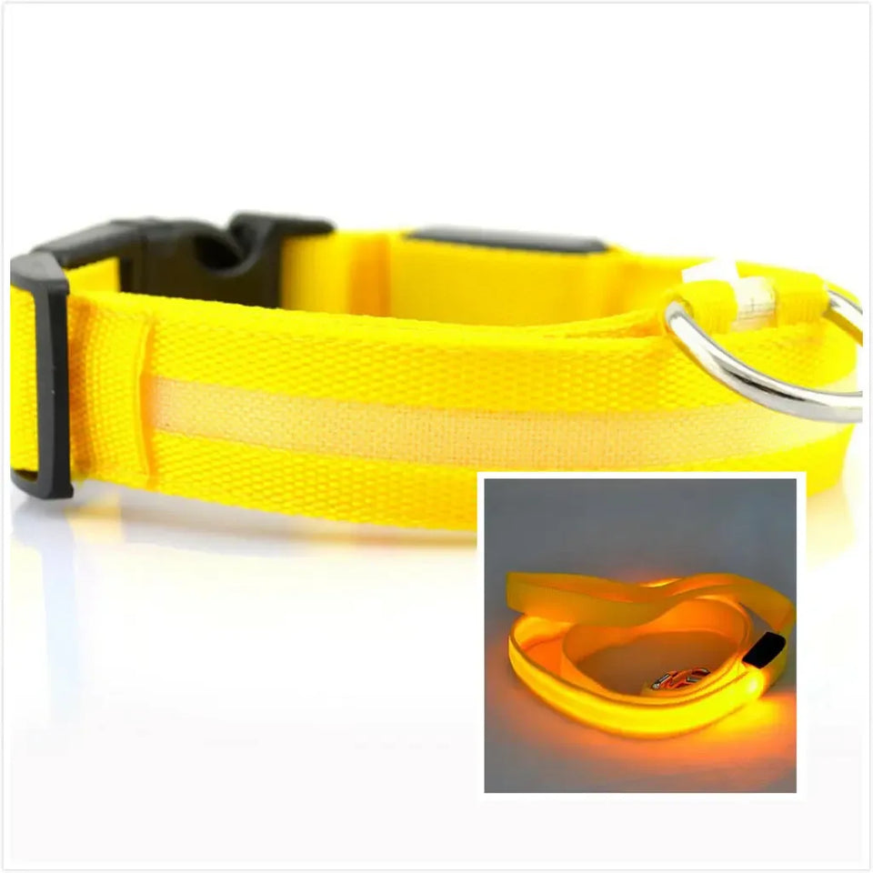 LED Dog Collar Night - Sher's Boutique