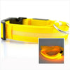 LED Dog Collar Night - Sher's Boutique