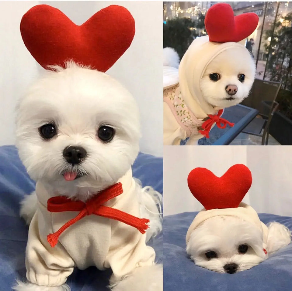 Dog Hoodie Winter Clothes - Sher's Boutique