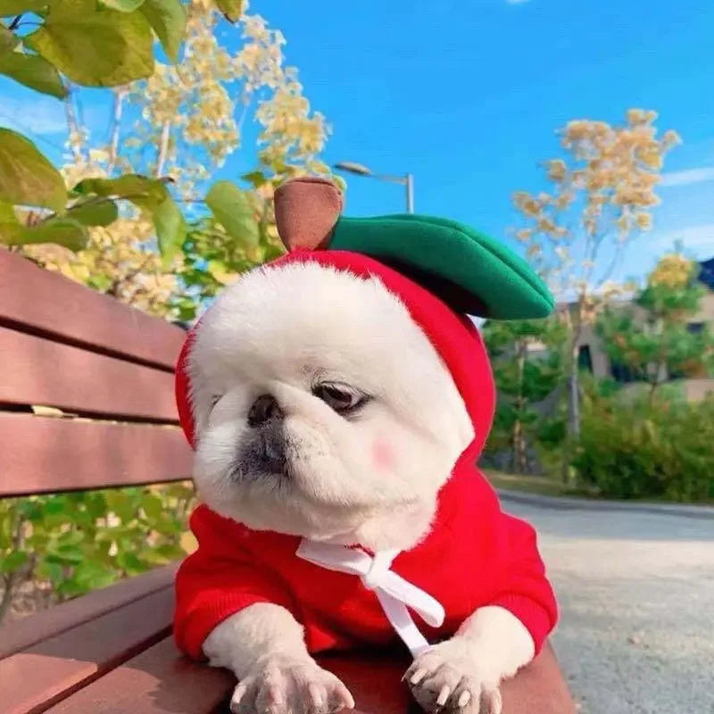 Dog Hoodie Winter Clothes - Sher's Boutique