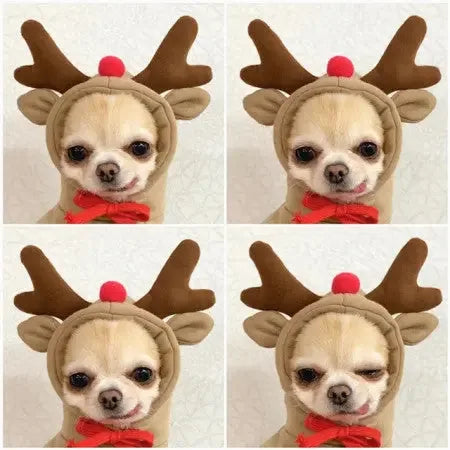 Dog Hoodie Winter Clothes - Sher's Boutique