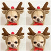 Dog Hoodie Winter Clothes - Sher's Boutique