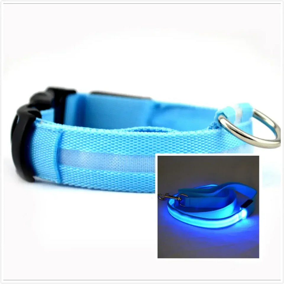 LED Dog Collar Night - Sher's Boutique