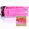 LED Dog Collar Night - Sher's Boutique