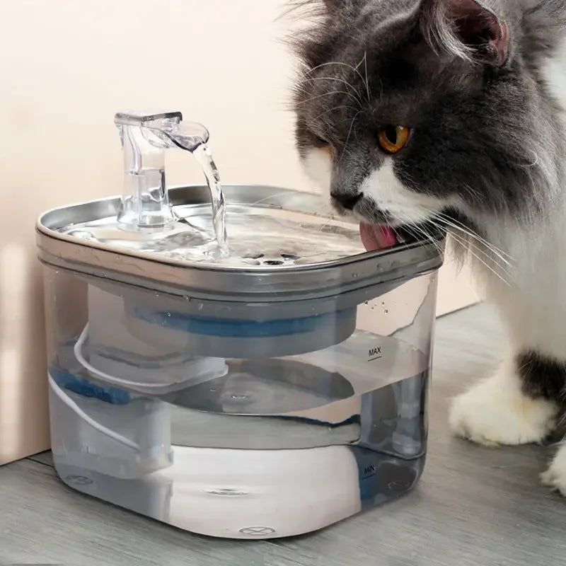 Pet Water Fountain Dispenser - Sher's Boutique