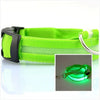 LED Dog Collar Night - Sher's Boutique