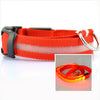 LED Dog Collar Night - Sher's Boutique