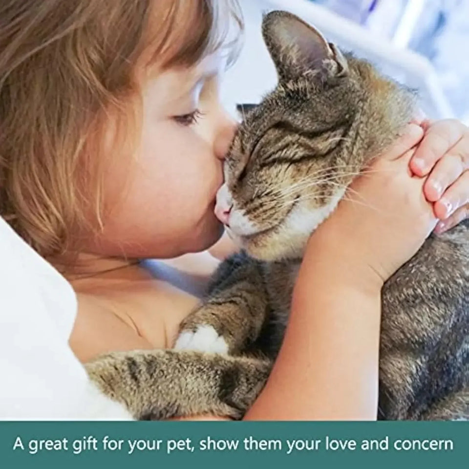 Slow Feeder Dog Bowl - Sher's Boutique