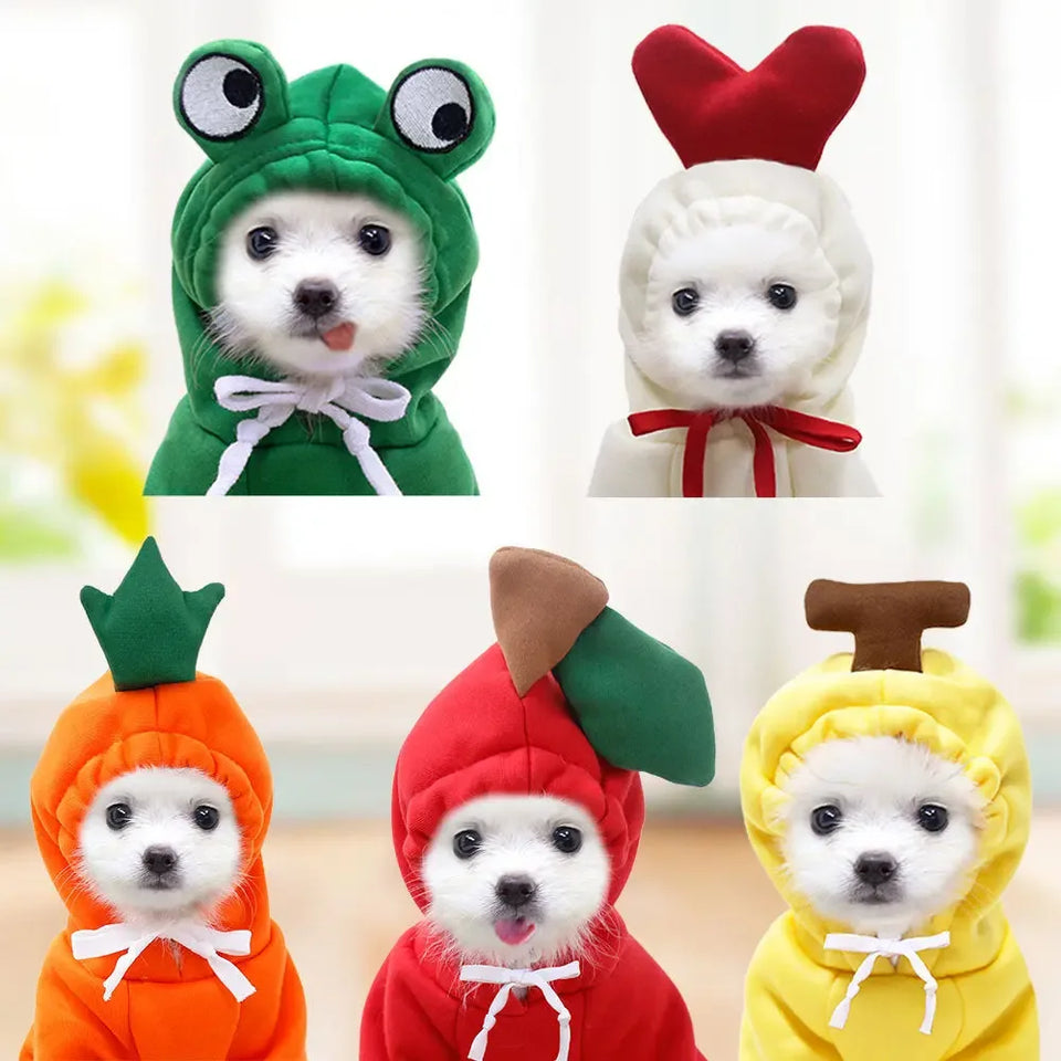 Dog Hoodie Winter Clothes - Sher's Boutique