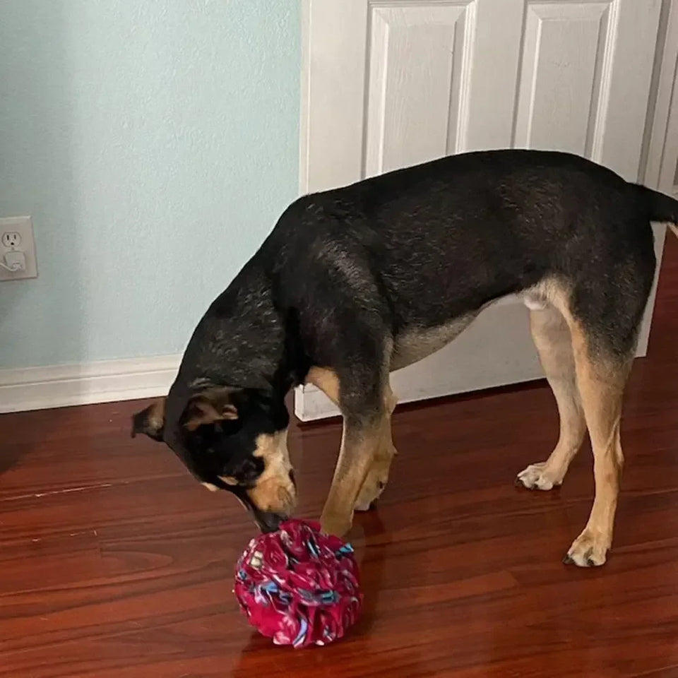 Interactive Dog Toy Puzzle Ball Toy for Smart, Happy Dogs - Sher's Boutique