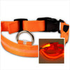 LED Dog Collar Night - Sher's Boutique