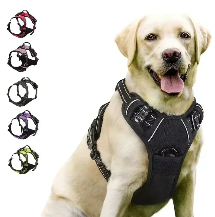 No-Pull Dog Harness Set - Sher's Boutique