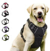No-Pull Dog Harness Set - Sher's Boutique