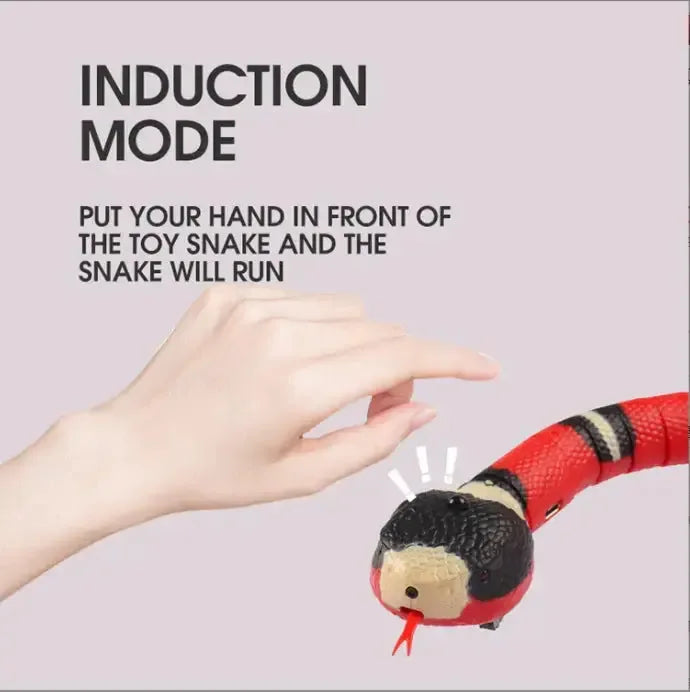 Remote Control Snake Toy - Sher's Boutique