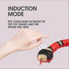 Remote Control Snake Toy - Sher's Boutique