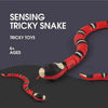 Remote Control Snake Toy - Sher's Boutique
