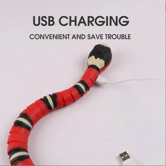 Remote Control Snake Toy - Sher's Boutique