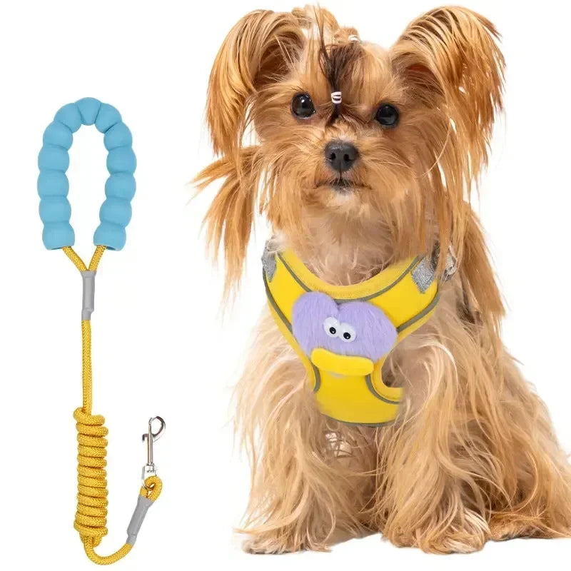 No-Pull Dog Harness Set - Sher's Boutique