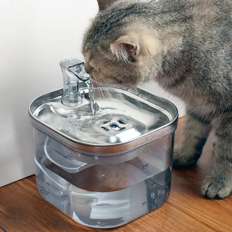 Pet Water Fountain Dispenser - Sher's Boutique